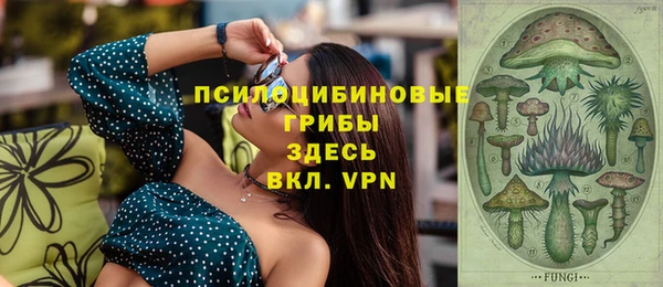 MESCALINE Коряжма