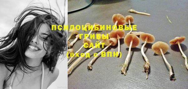 твердый Корсаков