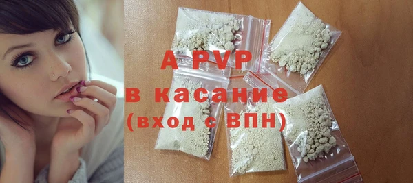 твердый Корсаков