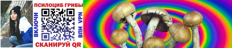 Галлюциногенные грибы MAGIC MUSHROOMS  kraken маркетплейс  Арзамас 